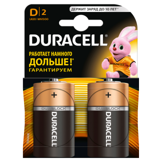 Батарейки Duracell LR20/2BL MN1300